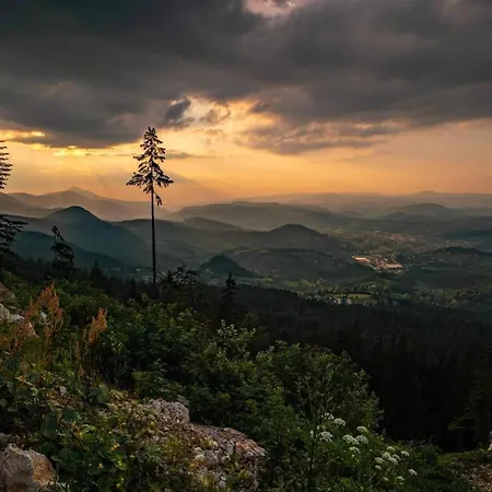Διαμέρισμα Nota Τζαχορίνα